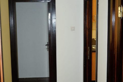T41 (4)